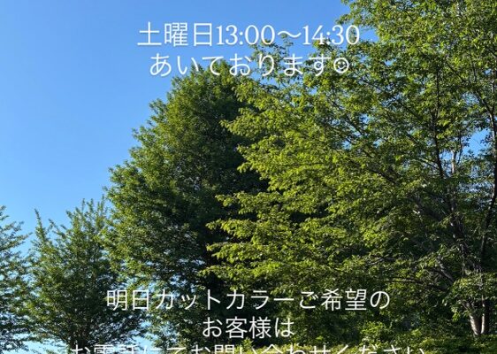 今週は