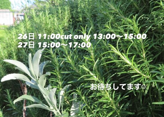 今月最後になります