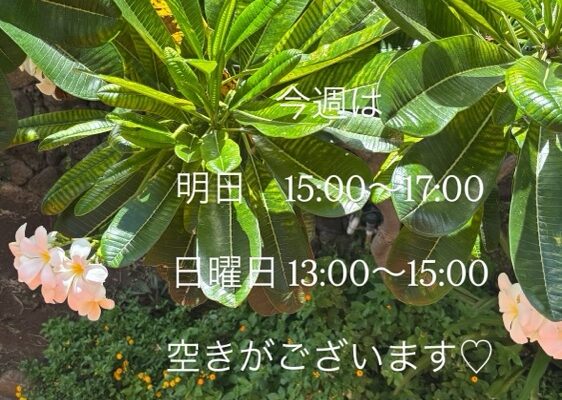 今週は